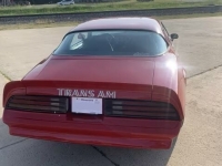 1978 Pontiac Trans Am for sale in Addison, Illinois (ID-126973)