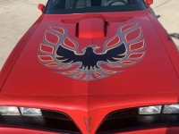 1978 Pontiac Trans Am for sale in Addison, Illinois (ID-126973)