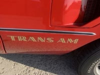 1978 Pontiac Trans Am for sale in Addison, Illinois (ID-126973)