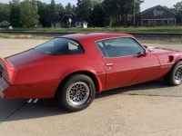 1978 Pontiac Trans Am for sale in Addison, Illinois (ID-126973)
