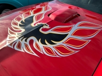 1978 Pontiac Trans Am for sale in Addison, Illinois (ID-126973)