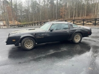 1978 Pontiac Trans Am for sale in Michigan (ID-127579)