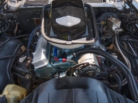 1978 Pontiac Trans Am for sale in Riverhead, New York (ID-127920)