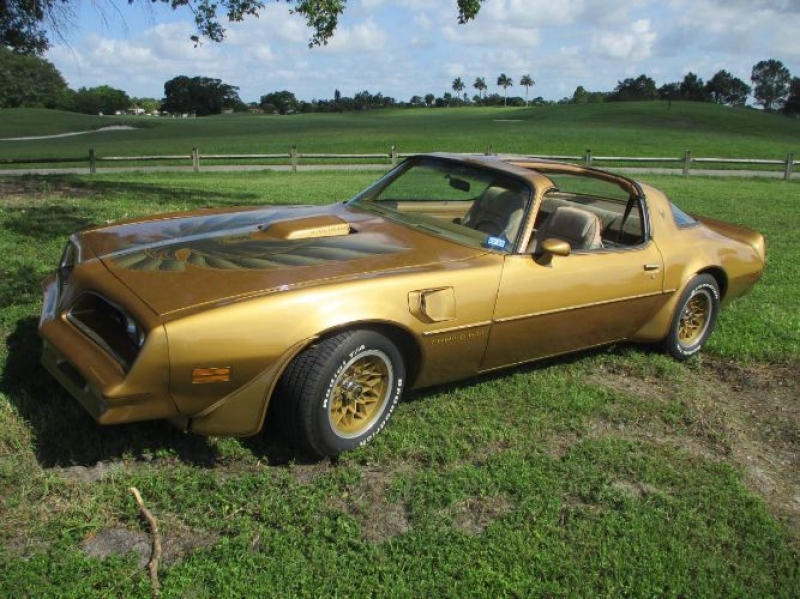 1978 Pontiac Trans Am for sale in Michigan (ID-130814)