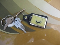 1978 Pontiac Trans Am for sale in Michigan (ID-130814)