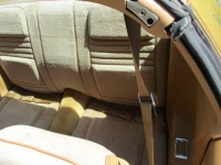 1978 Pontiac Trans Am for sale in Michigan (ID-130814)