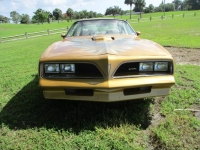 1978 Pontiac Trans Am for sale in Michigan (ID-130814)