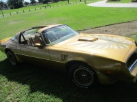 1978 Pontiac Trans Am for sale in Michigan (ID-130814)