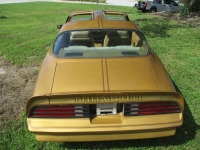 1978 Pontiac Trans Am for sale in Michigan (ID-130814)