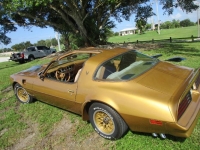 1978 Pontiac Trans Am for sale in Michigan (ID-130814)