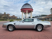 1978 Pontiac Trans Am for sale (ID-113739)