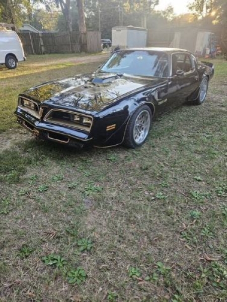 1978 Pontiac Trans Am for sale in Michigan (ID-138424)