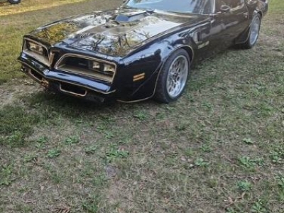 1978 Pontiac Trans Am for sale