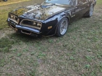 1978 Pontiac Trans Am for sale in Michigan (ID-138424)