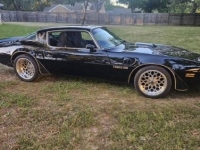 1978 Pontiac Trans Am for sale in Michigan (ID-138424)