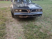 1978 Pontiac Trans Am for sale in Michigan (ID-138424)
