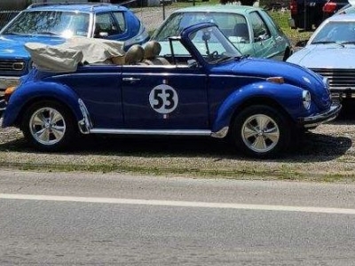 1978 Volkswagen Beetle for sale