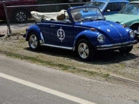 1978 Volkswagen Beetle for sale in Michigan (ID-125815)