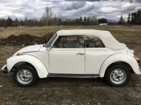 1978 Volkswagen Super Beetle for sale in Michigan (ID-118534)