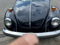 1978 Volkswagen Super Beetle for sale (ID-117210)