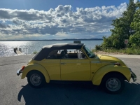 1978 Volkswagen Super Beetle for sale in Michigan (ID-164282)