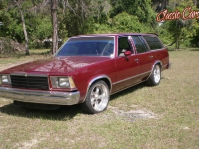 1979 Chevrolet Malibu Station Wagon for sale