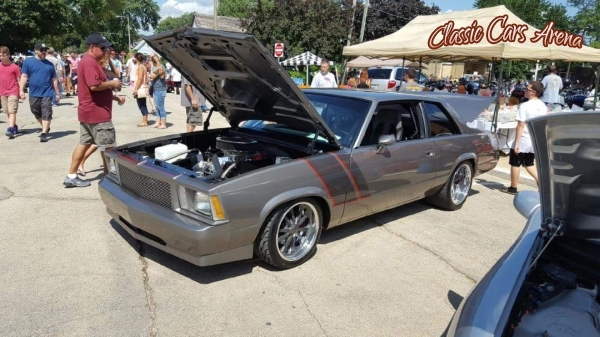 1979 Chevrolet Malibu for sale in Addison, Illinois (ID-26567)