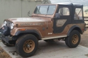 1979 AMC Jeep for sale