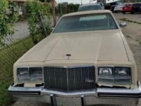1979 Buick Riviera for sale in Texas (ID-24160)