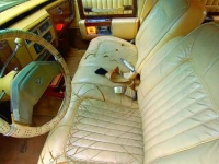 1979 Cadillac DeVille for sale in Michigan (ID-91752)