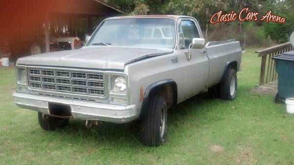 1979 Chevrolet C20 for sale in Michigan (ID-4227)