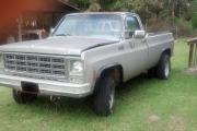 1979 Chevrolet C20 for sale