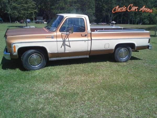 1979 Chevrolet C20 for sale in Michigan (ID-16270)
