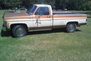 1979 Chevrolet C20 for sale