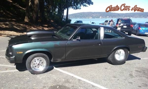 1979 Chevrolet Nova for sale in Michigan (ID-17966)