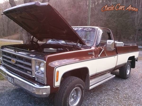 1979 Chevrolet Scottsdale for sale in Michigan (ID-20253)