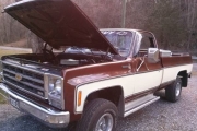 1979 Chevrolet Scottsdale for sale