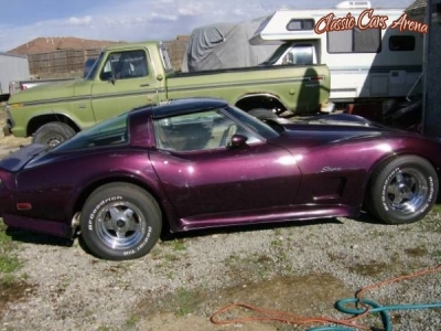 1979 Chevrolet Corvette Stingray for sale