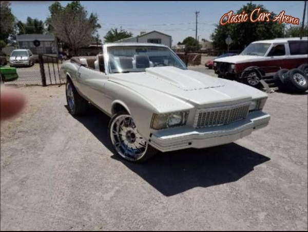1979 Chevrolet Monte Carlo for sale in Michigan (ID-31025) 1979 Chevrolet Monte Carlo for sale in Michigan (ID-31025)