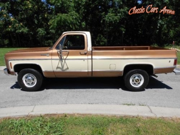 1979 Chevrolet C20 for sale in Michigan (ID-31659)