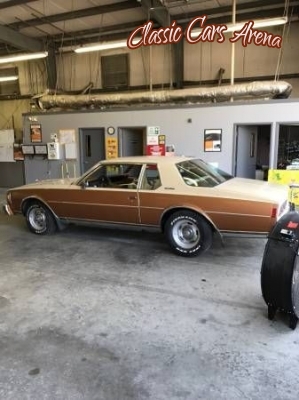 1979 Chevrolet Caprice for sale in Michigan (ID-33278)