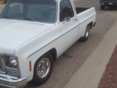 1979 Chevrolet SWB for sale