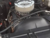 1979 Chevrolet SWB for sale in Arizona (ID-34920)