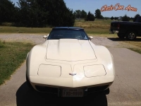 1979 Chevrolet Corvette for sale in Texas (ID-44627)