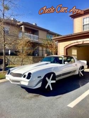 1979 Chevrolet Camaro Z28 for sale in Michigan (ID-48294)