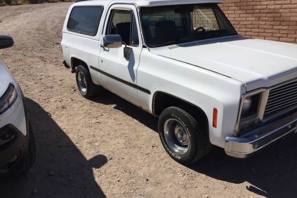 1979 Chevrolet Blazer for sale