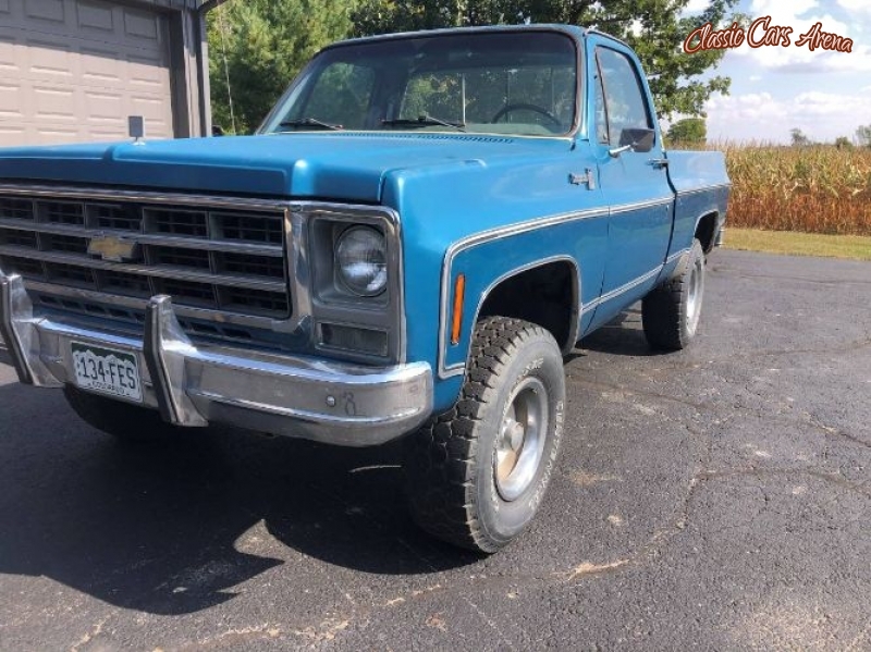 1979 Chevrolet Pickup for sale in Michigan (ID-74379)