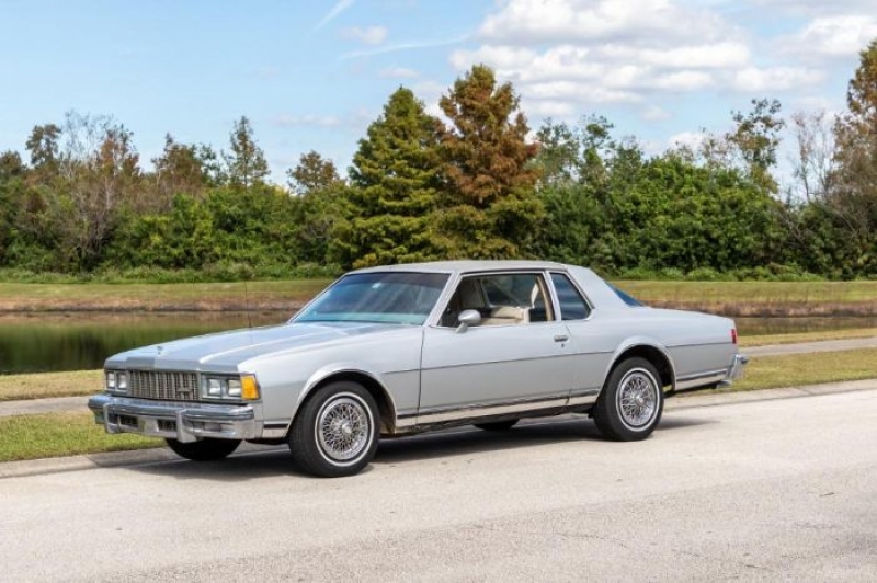 1979 Chevrolet Caprice for sale in Michigan (ID-79262)