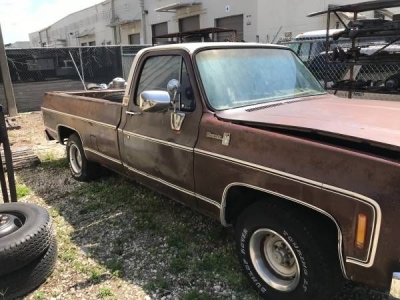 1979 Chevrolet C20 for sale