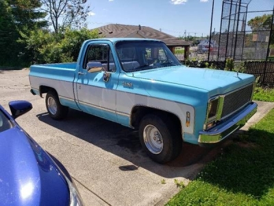 1979 Chevrolet Pickup for sale